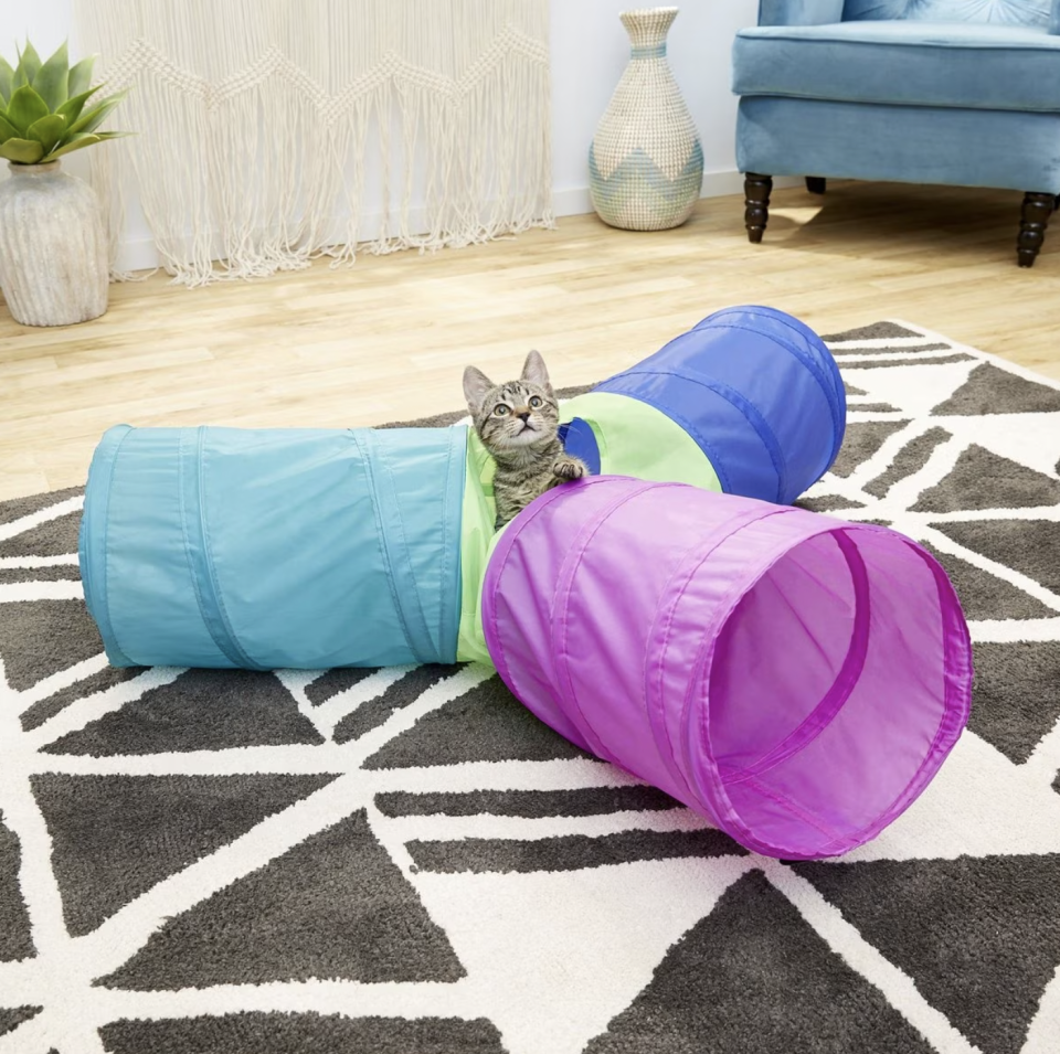 <p><a href="https://go.redirectingat.com?id=74968X1596630&url=https%3A%2F%2Fwww.chewy.com%2Ffrisco-peek-boo-cat-chute-cat-toy%2Fdp%2F193085&sref=https%3A%2F%2Fwww.womansday.com%2Flife%2Fpet-care%2Fg43960275%2Fbest-cat-toys%2F" rel="nofollow noopener" target="_blank" data-ylk="slk:Shop Now;elm:context_link;itc:0;sec:content-canvas" class="link ">Shop Now</a></p><p>Peek-a-Boo Cat Chute Tri-Tunnel</p><p>$11.35</p><p>chewy.com</p><span class="copyright">Frisco</span>