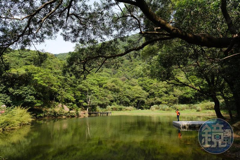 「夢湖」的湖面倒映著寧靜山景，很難想像如此詩意的環境就在距離台北都會區車程半小時之內的地方。