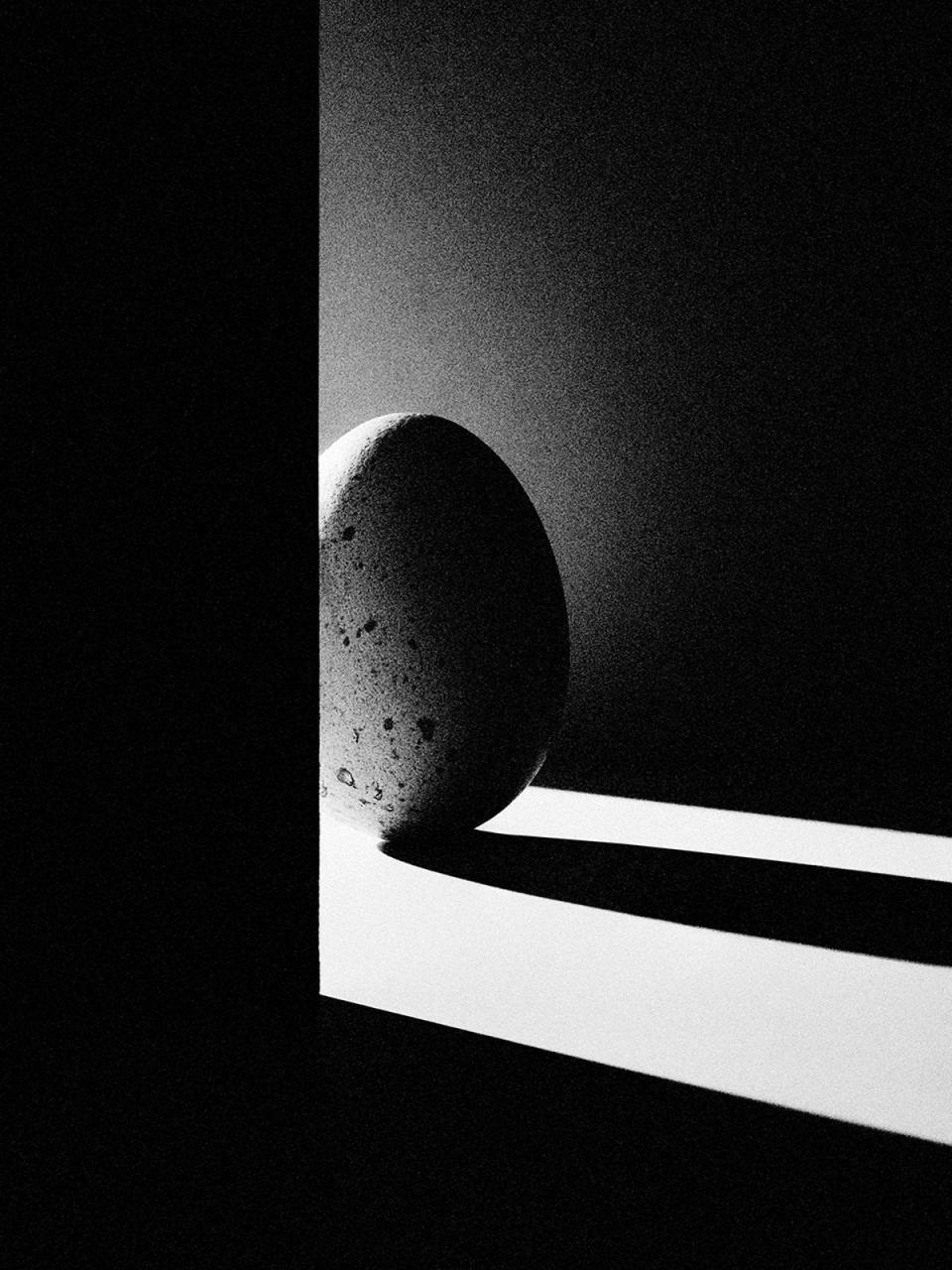 Gustav Almestål, ‘Ovophobia (after Hitchcock)’, 2021. British-born director and famous ovophobe Alfred Hitchcock once told a journalist: “I’m frightened of eggs. Worse than frightened; they revolt me… Have you ever seen anything more revolting than an egg yolk breaking and spilling its yellow liquid?” (Photo by Gustav Almestål)