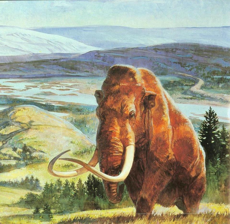 woolly mammoth.jpg