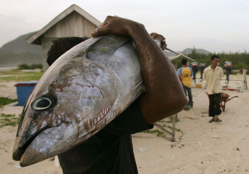 FILE PHOTO: Fisherman carries tuna fish from his catch at harbour in Lampuuk on outskirts of Banda Aceh