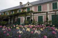 Tulips and blue forget-me-nots wait in the garden in front of Claude Monet's house, French impressionist painter who lived from 1883 to 1926, ahead of the re-opening, in Giverny, west of Paris, Monday May 17, 2021. Lucky visitors who'll be allowed back into Claude Monet's house and gardens for the first time in over six months from Wednesday will be treated to a riot of color, with tulips, peonies, forget-me-nots and an array of other flowers all competing for attention. (AP Photo/Francois Mori)