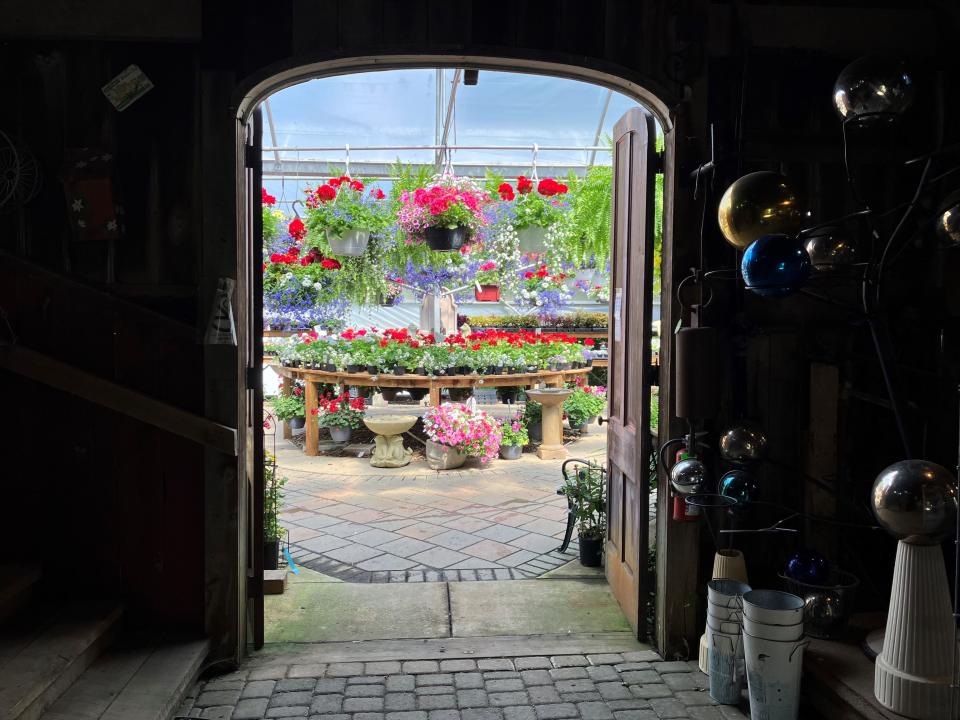 Hanging baskets waiting for Mother's Day are visible from inside a barn at Willo'dell Nursery on U.S. Route 42 at state Route 603. Mother's Day is always a busy day for local greenhouses and florists.