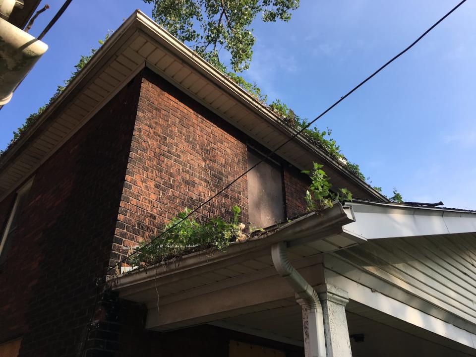 This vacant home on Peter Street is one the City of Windsor has been monitoring, and issuing orders, to improve the condition of the property.