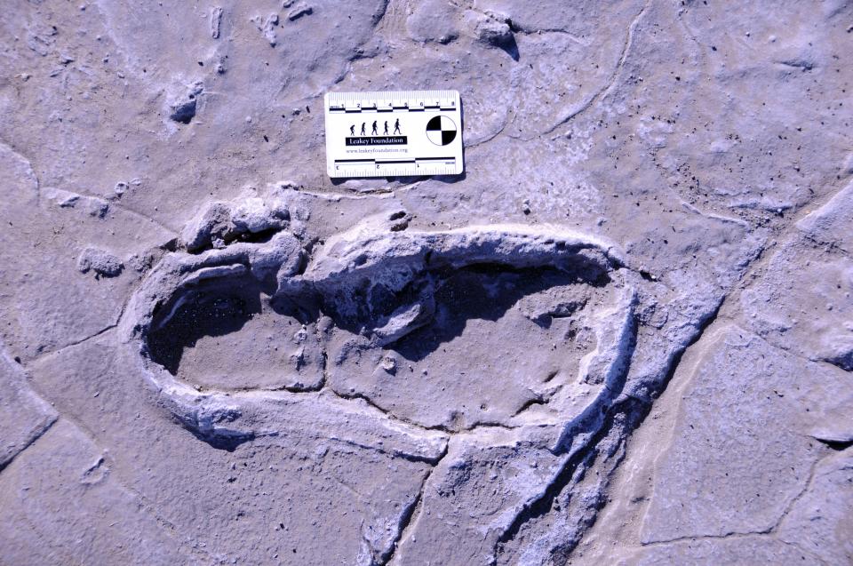 One of the 408 human footprints preserved at Engare Sero.