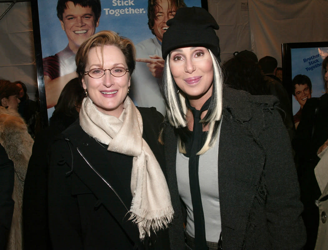 Meryl Streep and Cher<p>Getty Images</p>