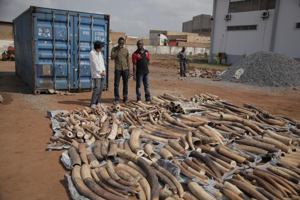 A Vietnamese man, left rear, and his two Togolese accomplices, rear center, are paraded by Togo troops to the media in the city of Lome, Togo, Tuesday, Jan. 28, 2014. Police in Togo say they have arrested three men after discovering nearly two tons of ivory in a container marked for shipping to Vietnam. (AP Photo/Erick Kaglan)