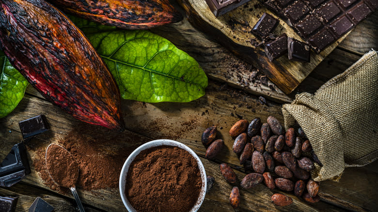 cacao pods, beans, and cocoa powder