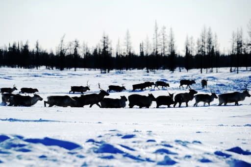 Methane and CO2 trapped in the frozen wastes of Russia, Canada and northern Europe are roughly equivalent to 15 years of manmade emissions