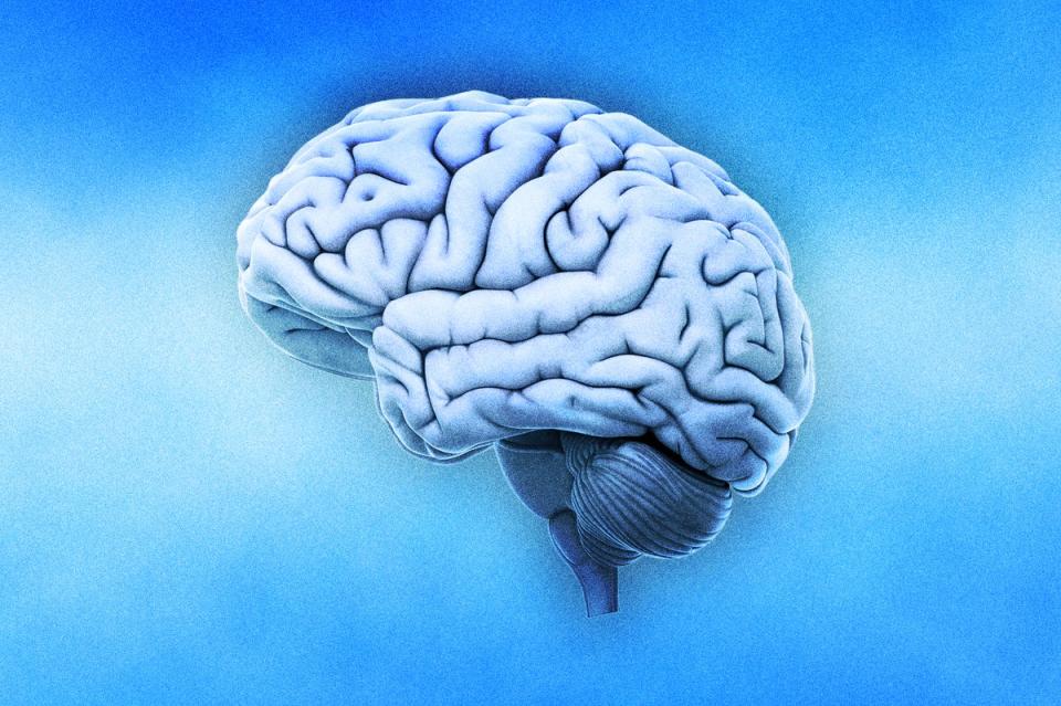 Λήθαργος: Επηρεάζουν πραγματικά τον εγκέφαλό μας οι εποχές;  (iStock)