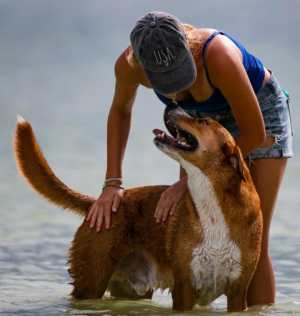 Ava Drcar plays with "Bailey" the Labrador during a visit to Bonita Beach Dog Park on August 12, 2021.