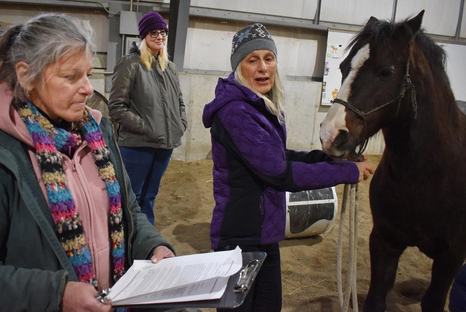 Clinical psychologist Marjory Roberts Gray, licensed clinical social worker Jessa Fabiano and president and founder Carol Ann Silva work in the Medicine Horse program at Silva Spirit Farm in Tiverton.