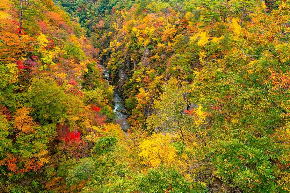 鳴子峽（Image Source : Getty Creative/iStockphoto）