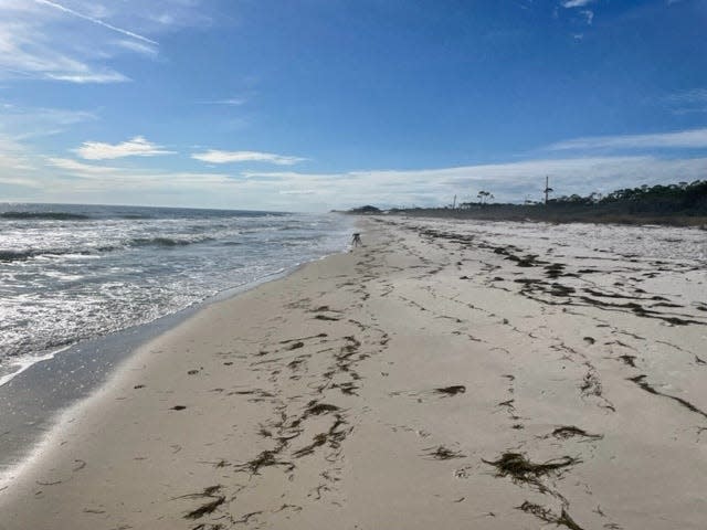 Deserted Florida beach awaits a long walk.