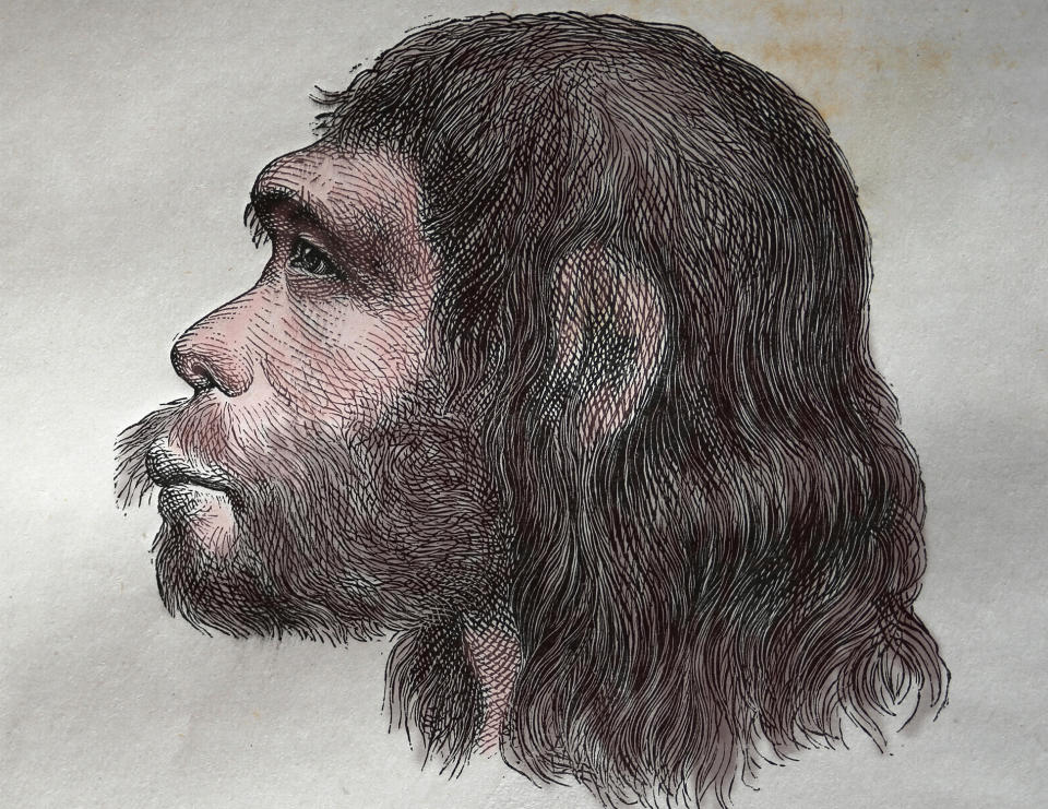 Comparing Neanderthal and modern skulls, researchers from the University of York found that the brow ridge changed over time to make for more mobile eyebrows, as they are fundamental in expression. (Photo: Alamy Stock Photo)