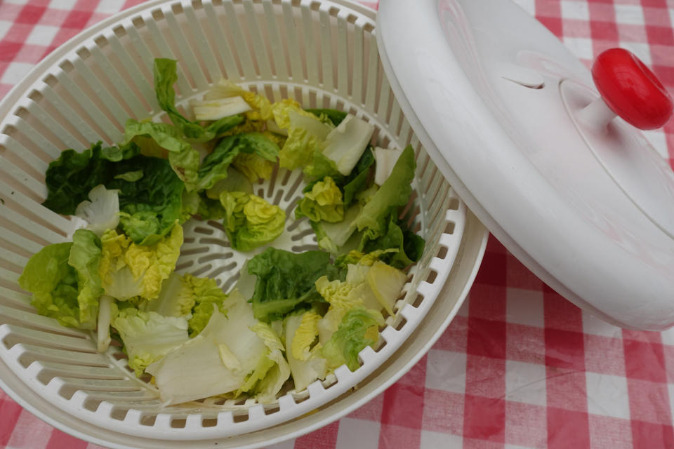 Dry lettuce leaves in the bowl of a salad spinner