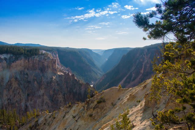 <p>Vince Fergus/Travel + Leisure</p> Yellowstone National Park.