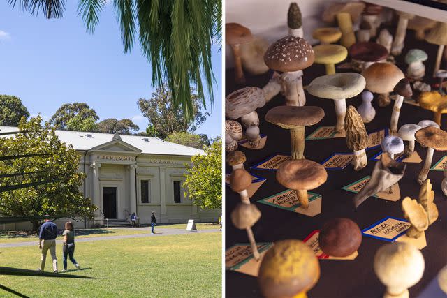 <p>Sia Duff</p> From left: The Santos Museum of Economic Botany, which is set in a park; a mushroom display at the museum.