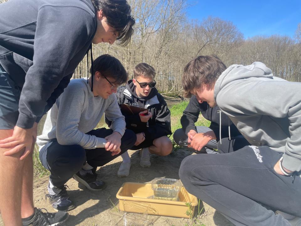 A group of Marysville High School students measuring a salmon before releasing it into the Belle River at Columbus County Park on April 26, 2024.