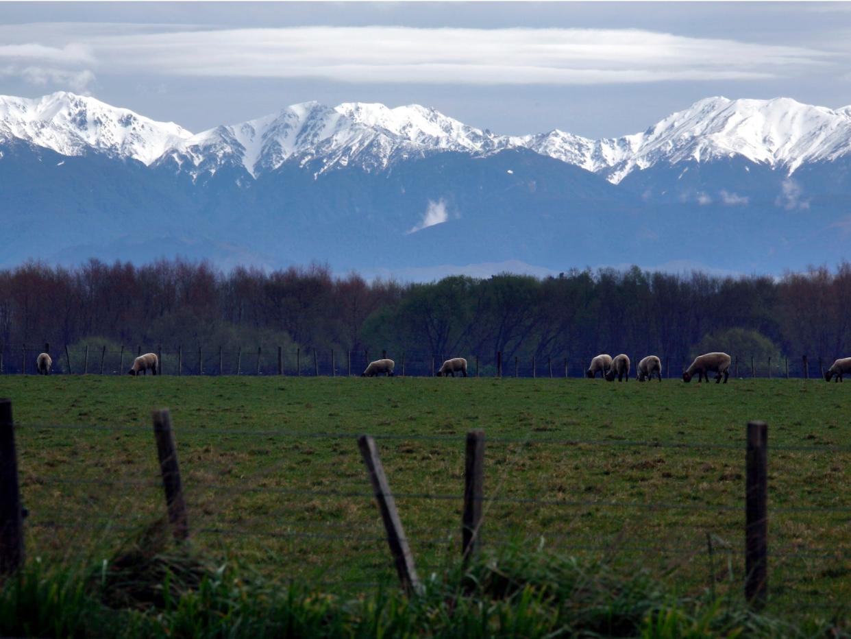 new zealand