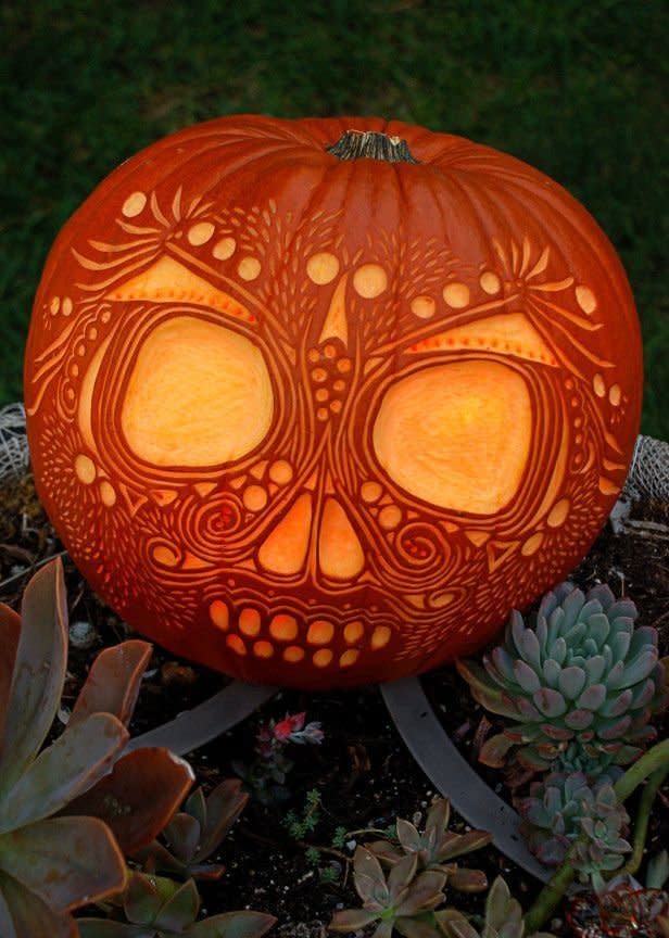 <a href="http://www.skullspiration.com/30-skull-pumpkin-carving-ideas/" target="_blank">Get more info here. </a>