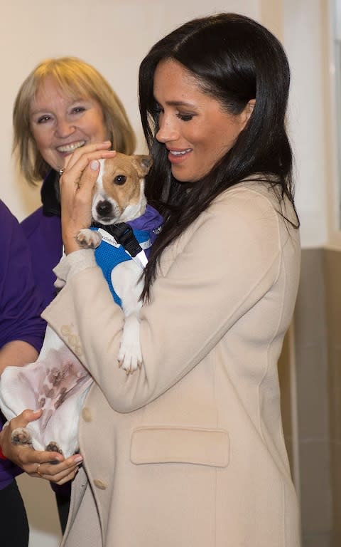  Meghan Markle with her Labrador-shepherd mix, Bogart who she left in the US when she became Duchess of Sussex, and beagle Guy