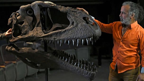 PHOTO: Argentine palaeontologist Sebastian Apesteguia shows a replica of the fossil of a Meraxes gigas, a newly discovered giant carnivorous dinosaur, at the Maimonides University in Buenos Aires, on July 7, 2022. (Luis Robayo/AFP via Getty Images)