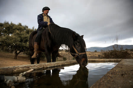 Fernando Noailles, emotional therapist, sits on his horse named Madrid as it takes a drink, in Guadalix de la Sierra, outside Madrid, Spain, December 9, 2017. REUTERS/Juan Medina