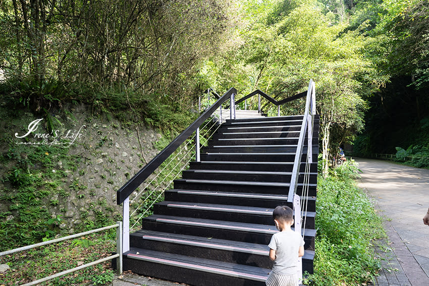 桃園大溪｜舊百吉隧道＆百吉林蔭步道