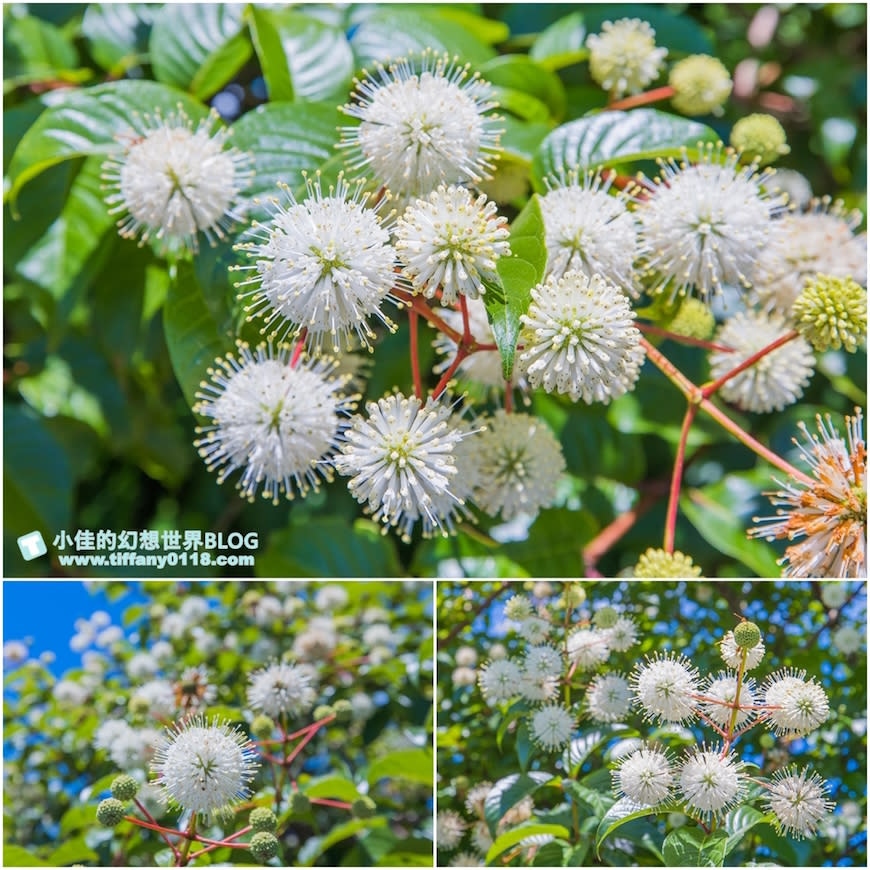 宜蘭｜冬山河休閒農業區