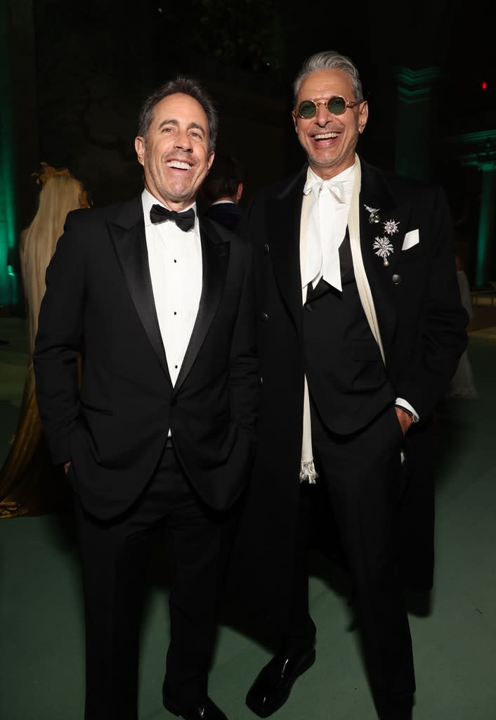 <p>Jerry Seinfeld and Jeff Goldblum</p>