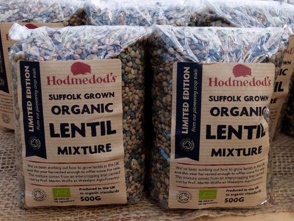 Hodmedod’s lentils went on sale in August 2017 (Hodmedods)