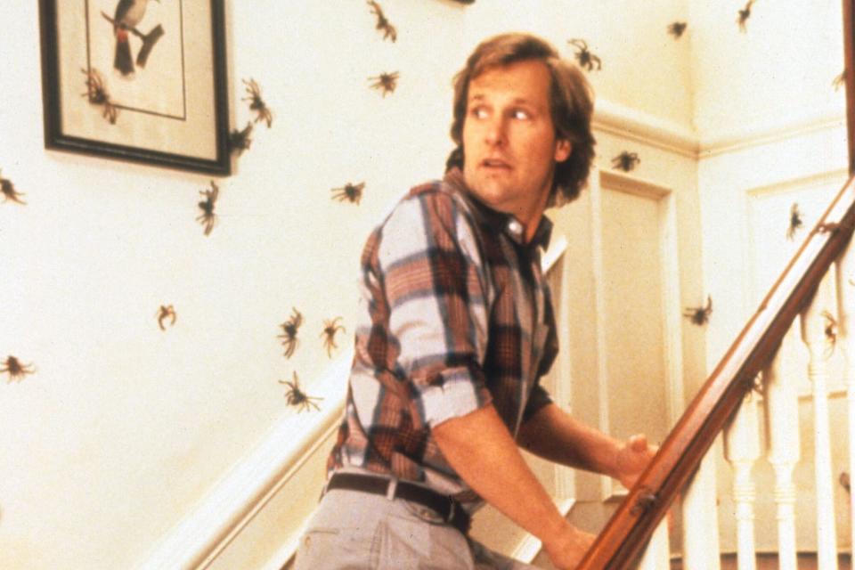 Jeff Daniels in 'Arachnophobia'