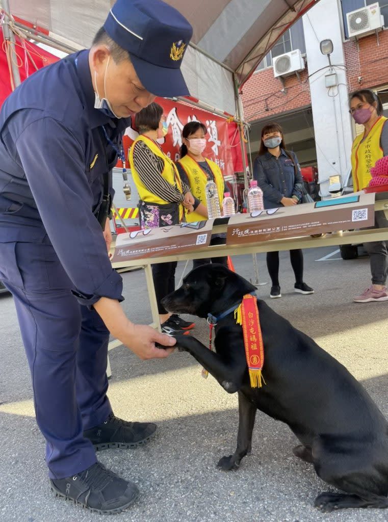 大肚分駐所派出最萌「所犬」宣導交通安全、反毒、反詐騙，信眾看著「所犬」認真執勤的模樣，搶著跟「所犬」合照。（記者陳金龍攝）