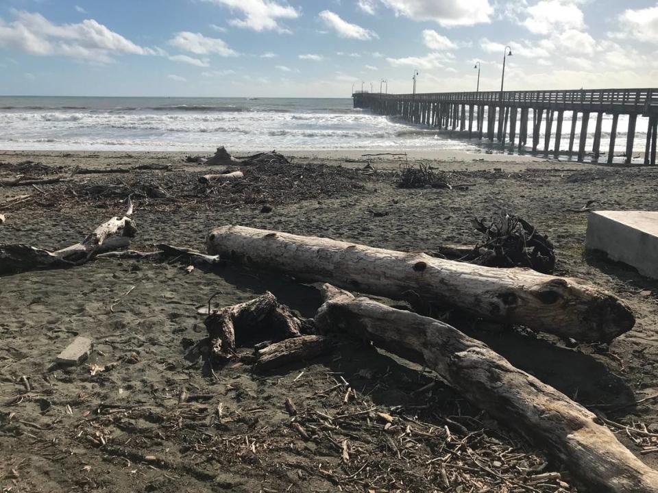 These large logs on the sand near the Cayucos Pier are among the ocean debris that washed down the swollen waters of Cayucos Creek to the shore during this winter’s storm. Officials conjecture that one or more free-floating, large tree trunks or logs may have bashed the end of the pier in late February 2024, knocking loose support pilings and other parts of the pier. Studies must be done before permanent repairs can begin.