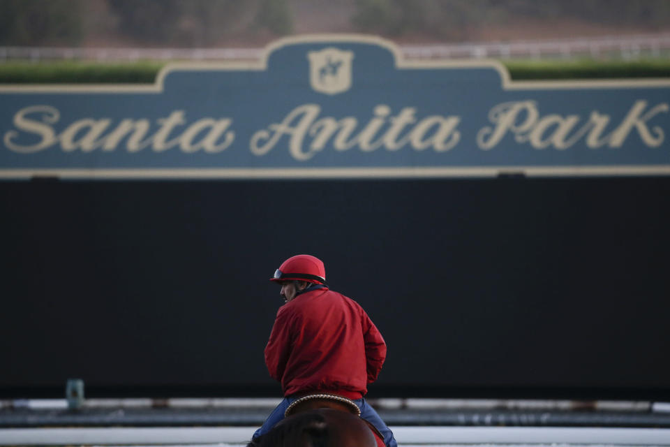 Two more horses died at the famed Santa Anita racetrack in Southern California last weekend, marking the 25th equine death at the track this season.