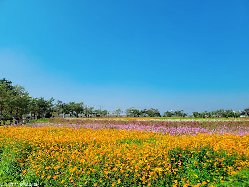 屏東｜新埤鄉綜合休閒公園