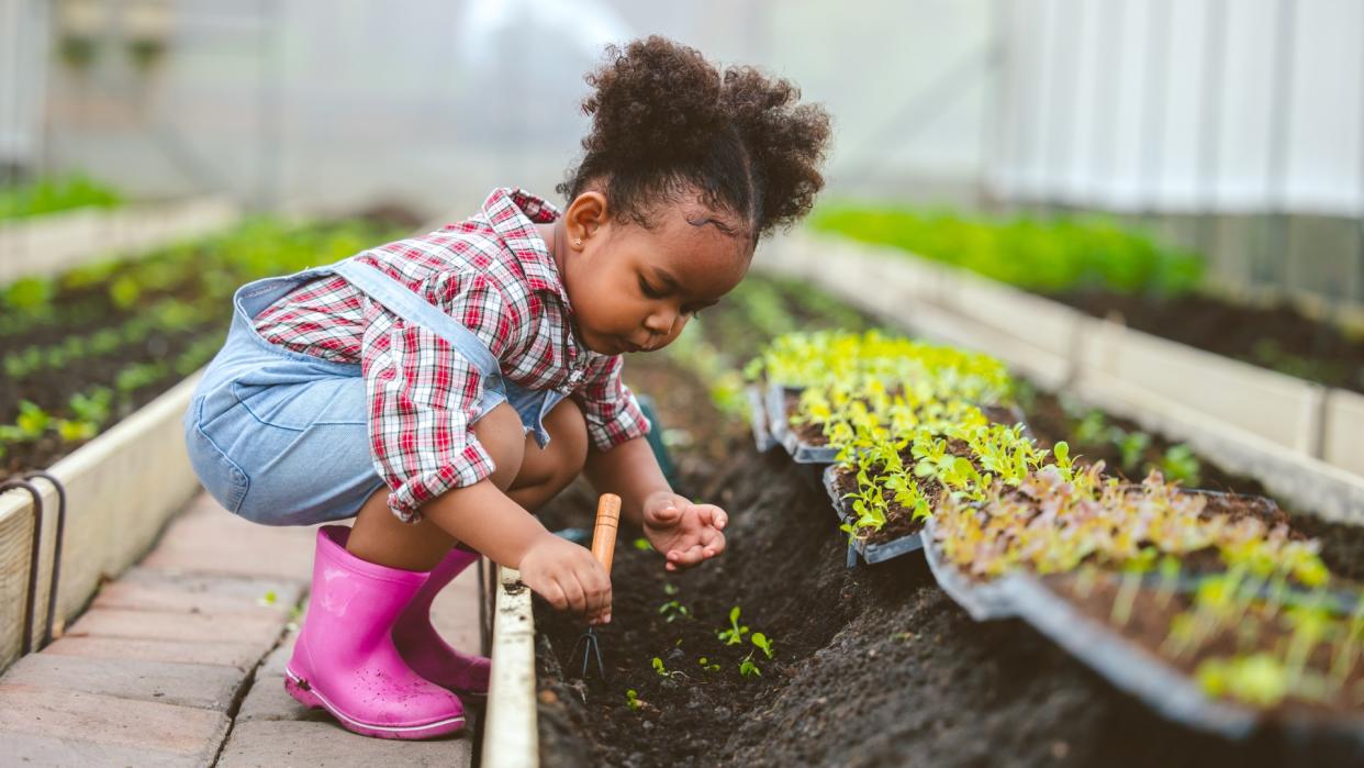  Child planting small green plants into a bed of soil in a garden with a trowel. 