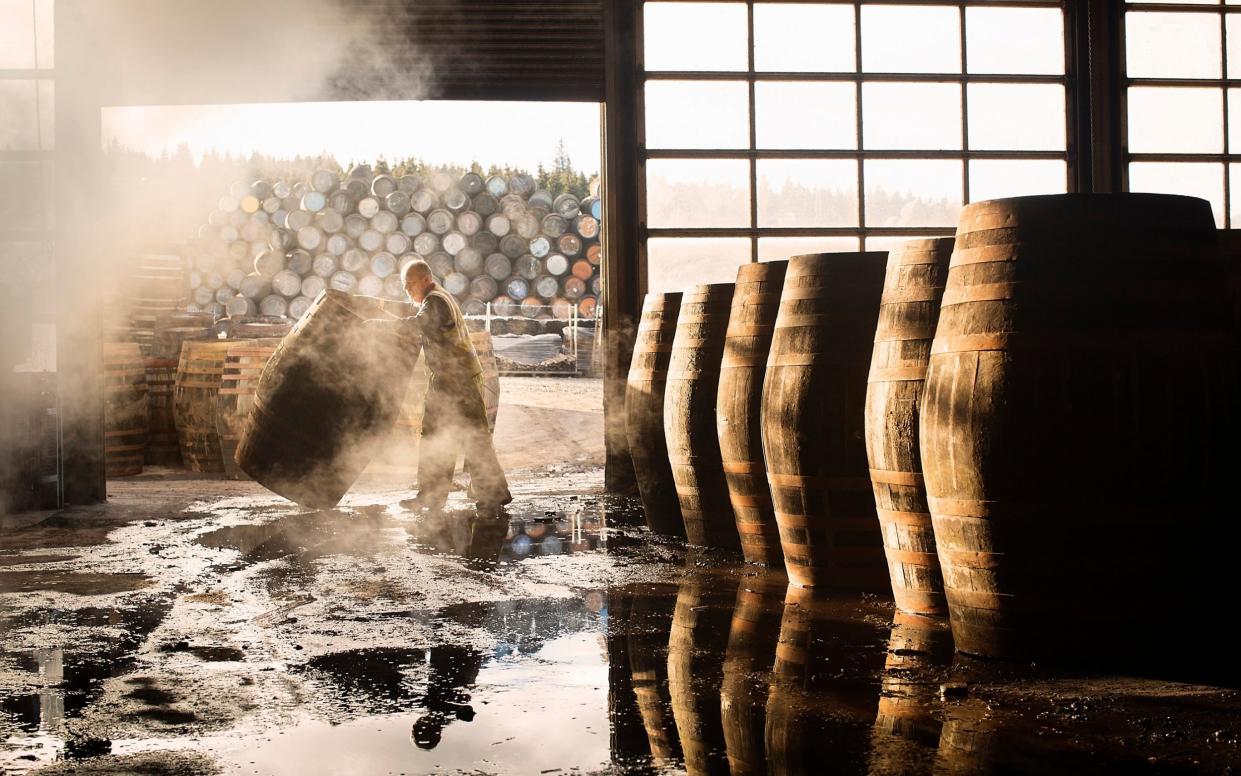 Male cooper working in cooperage with whisky casks - Leon Harris 