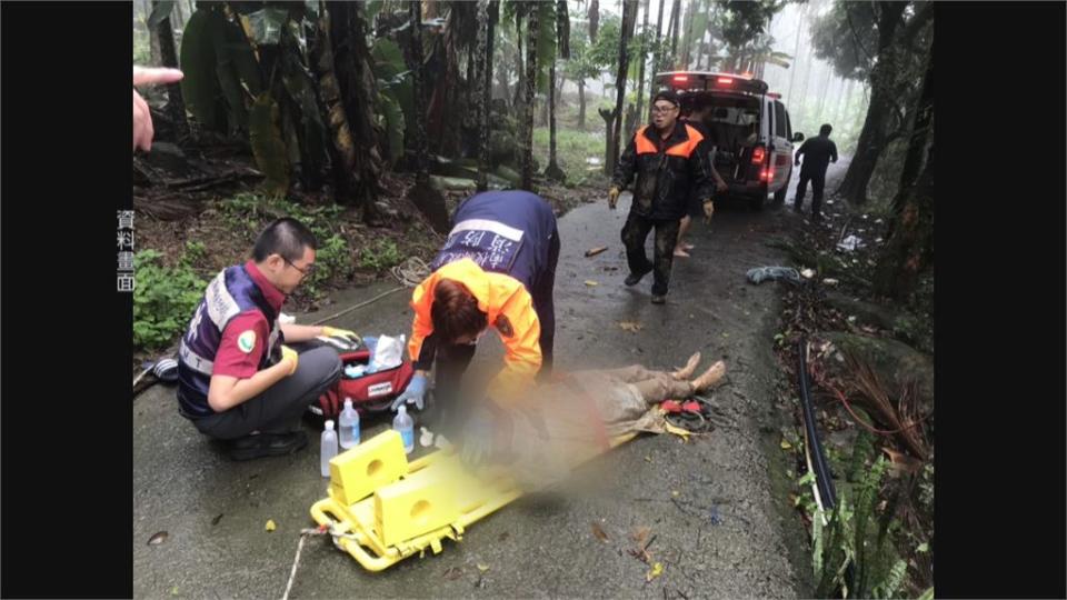 山區樹斷橫倒阻交通　轄區勇警雨夜裸身鋸樹