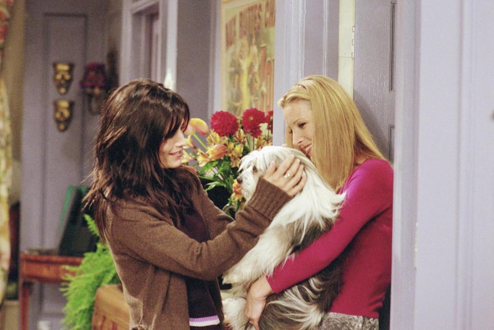 9) Season 7, Episode 8: "The One Where Chandler Doesn't Like Dogs"