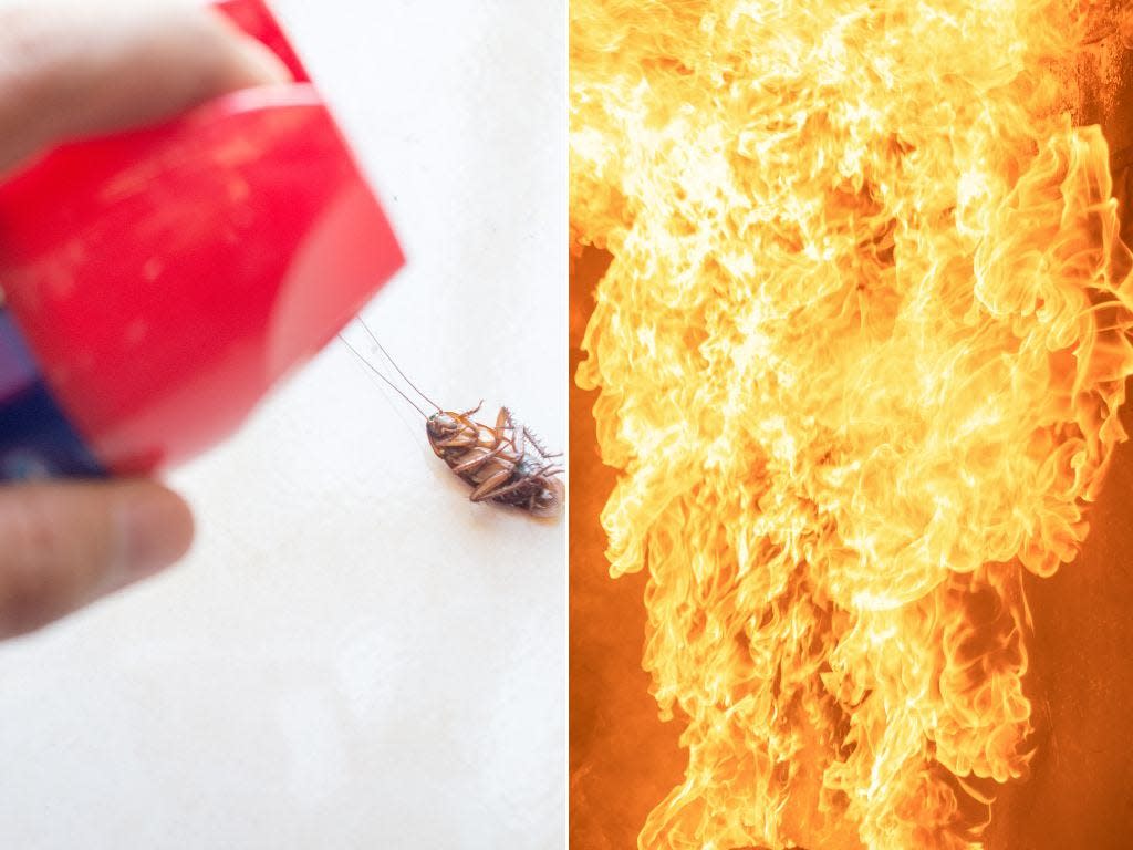 Insecticide being used to kill a cockroach (left); a room in flames  (right).