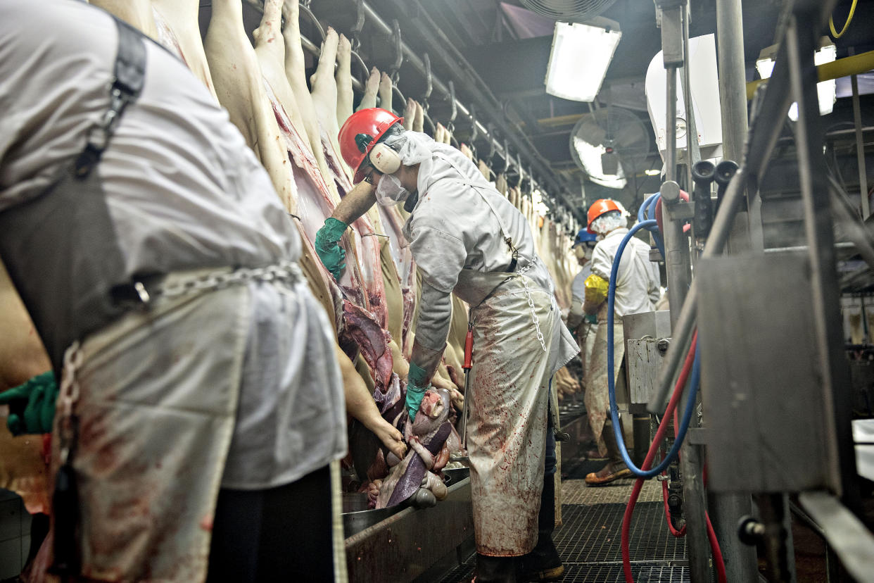 Employees remove internal organs from pigs at a Smithfield Foods Inc. pork processing facility in Milan, Missouri on April 12, 2017. The USDA proposed a rule this month that would allow hog plants to eliminate line speed maximums and give over more inspection responsibilities to plant employees. (Photo: Bloomberg via Getty Images)