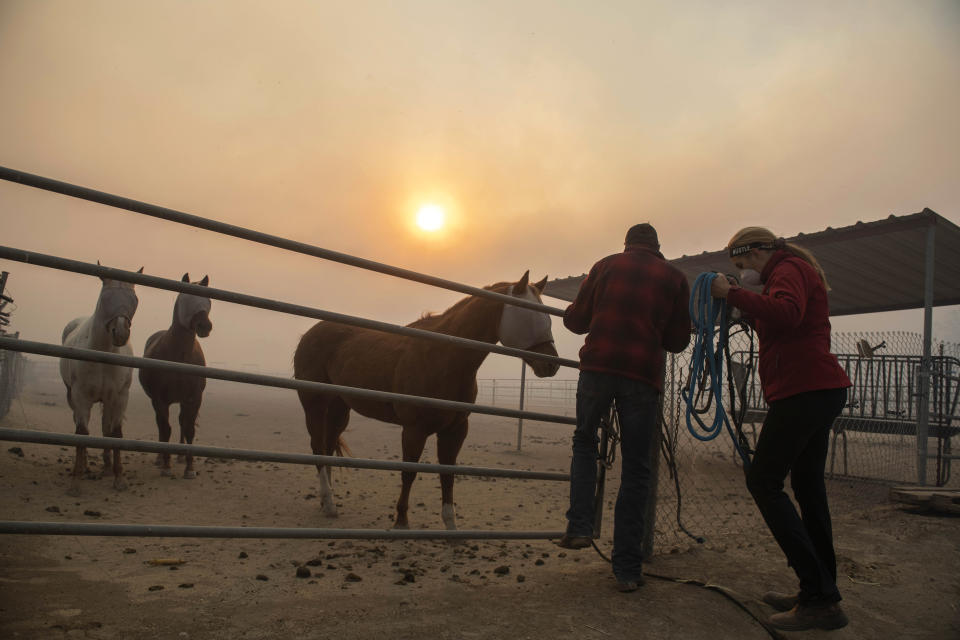 Horses are tended to under smoke from wildfires burning in the region at a ranch in Simi Valley, Calif., Oct. 30, 2019. (Photo: Christian Monterrosa/AP)