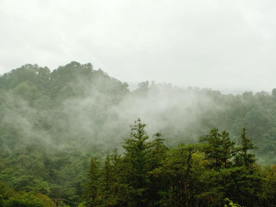 rainy mist over the mountains in Asia