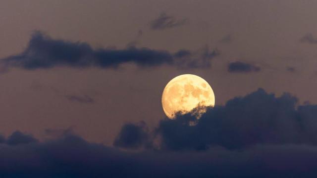 Look up, Orlando: The 'Super Pink Moon' will be at its brightest tonight, Orlando