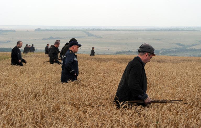 A group of Ukrainian miners assist in the search for bodies in a wheat field at the crash site of flight MH17, in rebel-held east Ukraine, on July 18, 2014