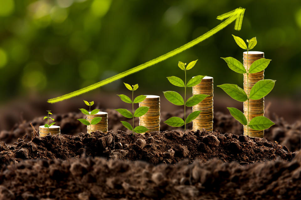 Plant shoots beside stacks of coins depicting income growth.