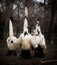 Kukeri from Razlog pose after performing in their goat fur costumes. The eye-catching costumes are designed to look as sinister as possible (Amos Chapple / Rex Features)