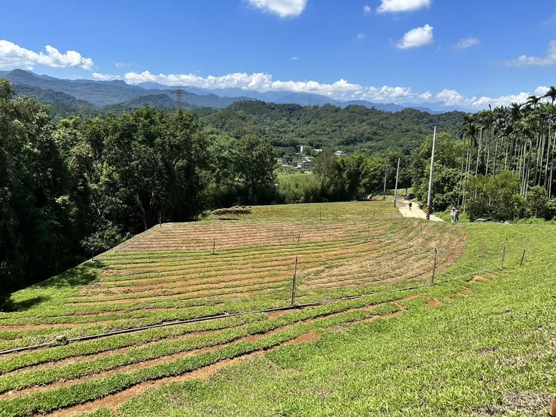 新竹關西山頭遭不當開發  縣府開罰 新竹縣關西鎮湖肚段部分山頭遭不當開發，縣府4日 前往稽查後表示，除會依違反水土保持法開罰外，也 要求地主2個月內改正，同時勒令2年內禁止提出開發 申請。 （新竹縣政府提供） 中央社記者郭宣彣傳真  113年7月4日 